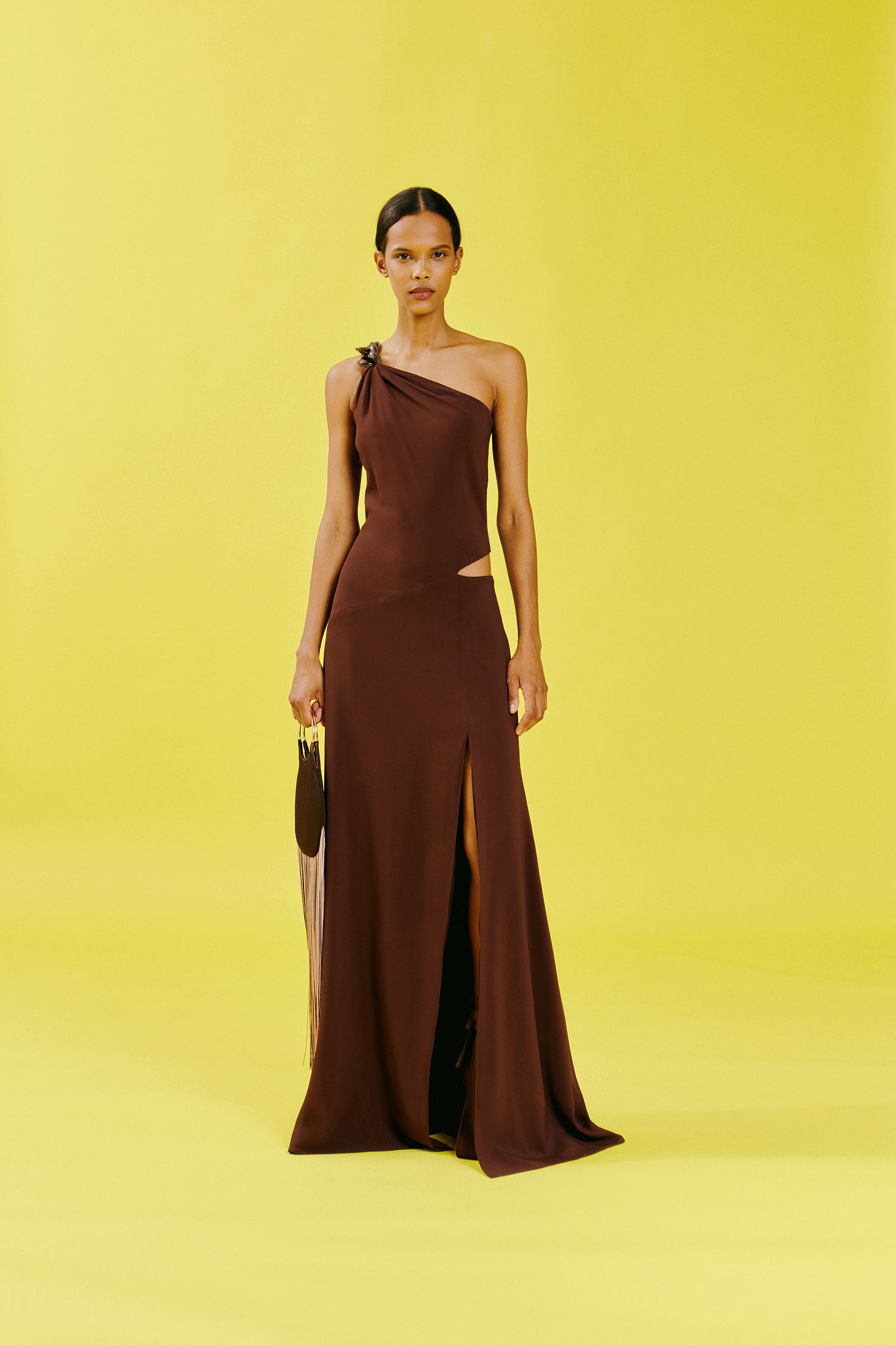 silvia tcherassi brown dress Moira Dress