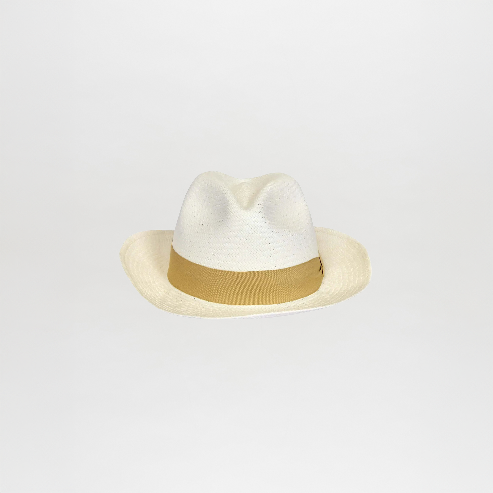 Roosevelt Hat Beige with a wide brim, crafted from toquilla plant fibers, featuring a beige band around the crown.