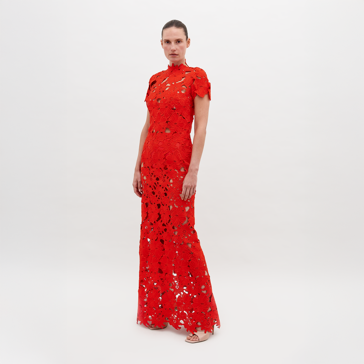 TAIANADRESS-